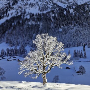 Winterimpressionen